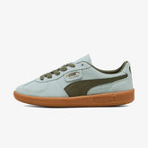 Puma In Palermo